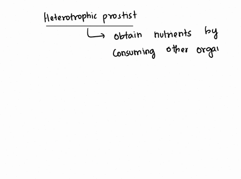 sessile-zooplankton-motile-phytoplankton-aheterotrophic-protist-that-moves-based-on-water-currents-would-8-considered-41944