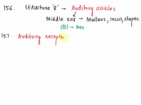 figure-17-2-the-ear-use-figure-17-2-to-answer-the-following-questions-156-identify-the-structures-labeled-8-acochlea-bauditory-ossicles-auricle-tympanic-membrane-evestibule-157-which-structu-02935