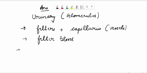 please-help-me-with-all-of-the-fill-in-the-blanks-for-this-review-sheet-thank-you-urinary-system-glomerular-filtration-1what-force-drives-filtration-at-the-glomerulus-____________________-2g-75114