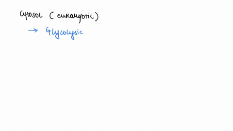 the-reactions-of-take-place-within-the-cytosol-of-eukaryotic-cells-a-glycolysis-b-oxidation-of-pyruv-10682
