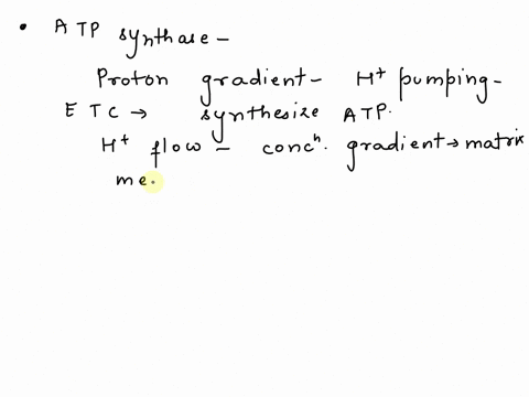 suppose-the-shaft-of-atp-synthase-that-is-attached-to-the-rotor-were-truncated-shortened-such-that-it-no-longer-extended-into-the-f1-atpase-head-what-would-be-the-consequence-of-this-mutatio-49316