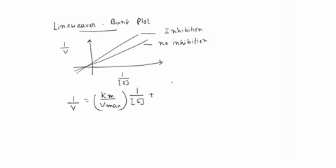 draw-lineweaver-burk-plots-for-the-behavior-of-an-enzyme-for-which-the-following-experimental-data-are-available_-what-are-the-kv-and-vmax-values-for-the-inhibited-and-uninhibited-reactions-52284