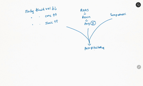 explain-how-antidiuretic-hormone-adh-functions-to-regulate-blood-osmolarity-18465