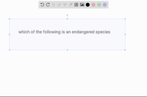 which-of-the-following-is-an-endangered-species-14508