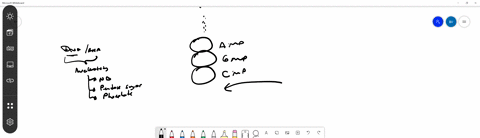 what-is-removed-during-the-formation-of-nucleic-acid-polymers-a-carbon-b-hydroxyl-groups-c-phosphates-d-amino-acids-4
