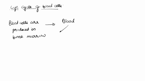 white-blood-cells-spend-the-majority-of-their-time-in-the-blood-true-or-false-28731