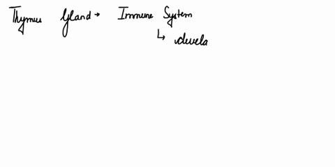 explain-the-role-of-thymus-gland-in-immune-system-of-a-human-body-03927