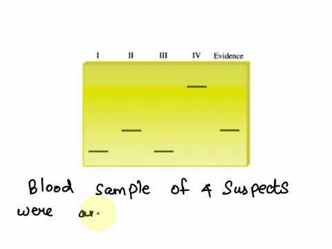 four-individuals-are-suspects-in-car-theft-a-small-amount-of-blood-was-left-in-the-car-likely-from-when-the-thief-forced-the-window-the-blood-sample-was-amplified-and-compared-t0-samples-fro-17797
