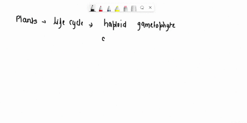 plants-fungi-haploid-n-animals-haploid-n-haploid-n-meiosis-fertilization-meiosis-fertilization-meiosis-fertilization-diploid-2n-diploid-2n-diploid-zn-part-1-draw-single-cells-and-multicellul-77284
