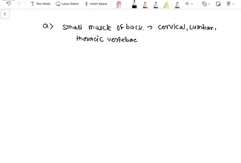 which-muscle-pair-plays-a-role-in-respiration-a-intertransversarii-interspinales-b-semispinalis-cerv-23393