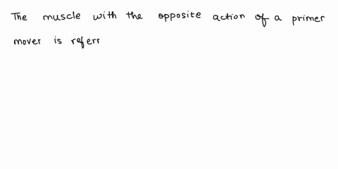 a-muscle-with-the-opposite-action-of-a-prime-mover-is-referred-to-as-the-antagonist-insertion-origin-synergist-agonist-84783