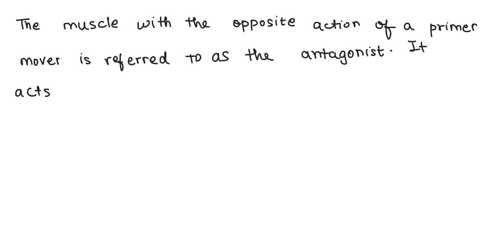 SOLVED A muscle with the opposite action of a prime mover is referred
