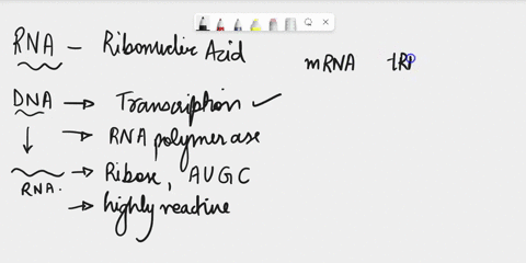 this-qleston-doduct-if-ihe-3-5-phosphodloster-bonds-ar0-not-pos-vons-cven-though-ihat-was-not-asked-ior-bnoxn-comecly-bclween-dooryriboieano-pasition-560-ihat-ihe-ng-ycos-dic-linkagas-0l-pyr-92148