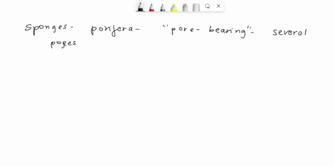 sponges-are-porifera-because-their-bodies-have-a-spicules-in-skeleton-b-several-pores-c-canal-system-d-all-the-above-63313