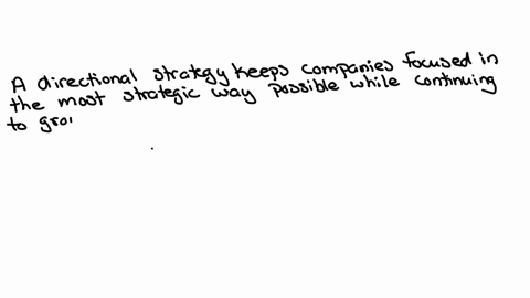 explain-directional-strategies-should-not-be-changed-often-because-it-can-lead-to-a-clutter-within-the-organization