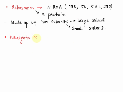 question-9-1-point-while-there-are-many-similarities-between-the-prokaryotic-and-eukaryotic-ribosome-there-are-some-notable-differences-match-each-statement-below-with-the-appropriate-label-86538