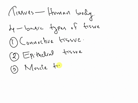 identify-the-four-types-of-tissues-that-make-up-the-human-body-pls-help-06607