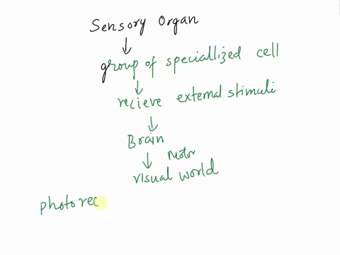 sensory-organs-respond-to-stimuli-from-the-environment-name-a-sensory-organ-and-briefly-explain-its-function-18454