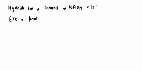 question-36-2-pts-regarding-hydride-ion-the-following-statements-are-correct-except-hydride-ion-can-be-provided-by-nadh-during-the-electron-transport-chain-proton-in-the-hydride-ion-is-relea-73043