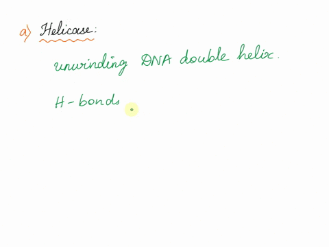 what-is-the-difference-between-the-functions-of-helicase-and-topoisomerase-27485