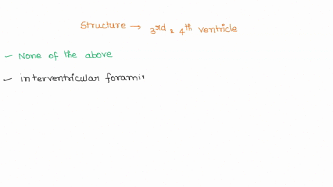 what-structure-links-the-3rd-and-4th-ventricles-foramen-magnum-cribriform-foramen-central-canal-intervertebral-foramen-none-of-the-above-19486