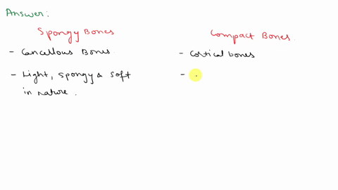 what-is-the-difference-between-compact-bone-and-spongy-bone-they-have-different-bone-marrow-they-are-made-of-different-materials-they-have-different-sizes-of-bone-cells-they-have-different-a-83114