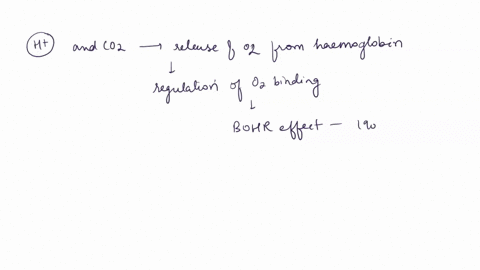 hydrogen-ions-and-carbon-dioxide-promote-the-release-of-oxygen-from-hemoglobin-this-regulation-of-oxygen-binding-by-hydrogen-ions-and-carbon-dioxide-is-called-the-________-effect-fetal-hemog-21483