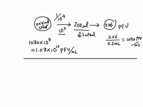 after-performing-a-plaque-assay-where-you-plated-200-al-of-each-dilution-you-count-206-plaques-at-a-dilution-of-10-7-determine-the-number-of-plaque-forming-units-pfu-per-ml-of-sample-pfuml-p-99193