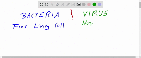 whats-the-difference-between-a-virus-and-bacteria