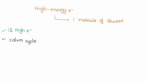 how-many-high-energy-electrons-are-required-to-drive-the-synthesis-of-one-molecule-of-glucose-during-photosynthesis-coupled-to-the-formation-of-six-molecules-of-o2-how-many-molecules-of-atp-51608