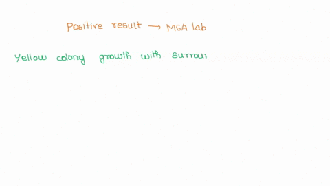 which-of-the-following-is-considered-a-possible-result-of-the-mannitol-salt-agar-lab-hint-result-has-a-specific-meaning-in-science-group-of-answer-choices-the-organism-is-gram-negative-the-o-68926