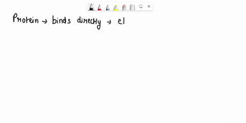 16-a-long-poly_-a-tail-is-necessary-t0-initiate-translation-which-protein-binds-directly-to-elf4e-to-inhibit-translation-initiation-a-pabp-b-cpeb-poly-polymerase-d-maskin-e-parn-cwxoo-8md0c-52374
