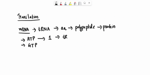 what-is-the-smallest-number-of-molecules-of-atp-and-gtp-consumed-in-the-synthesis-of-a-protein-with-200-residues-after-mrna-synthesis-starting-from-amino-acids-assume-that-the-hydrolysis-of-03917