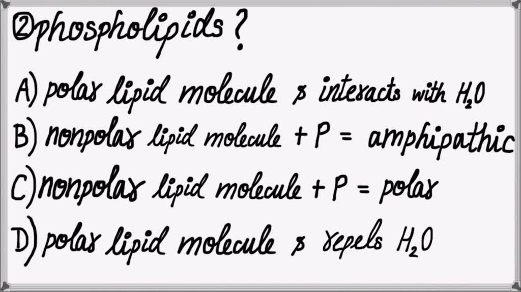 SOLVED Which of the following is the best explanation for why