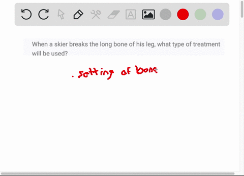 when-a-skier-breaks-the-long-bone-of-his-leg-what-type-of-treatment-will-be-used-21705