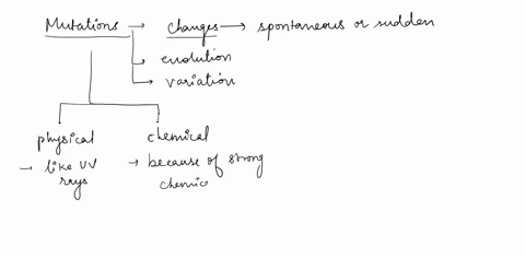 which-statement-is-scientifically-based-amutations-rarely-occur-ball-mutations-are-harmful-csome-mutations-can-be-contagious-like-infections-dmutations-are-not-passed-from-parent-to-offsprin-32245