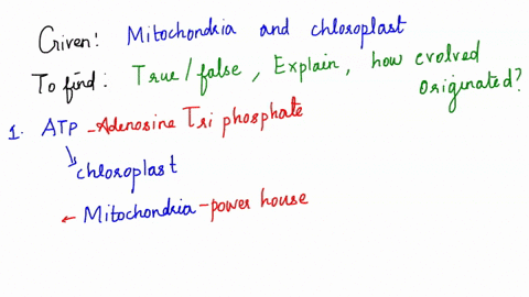 true-or-false-since-atp-is-generated-in-chloroplasts-cells-capable-of-undergoing-photosynthesis-do-n-56967