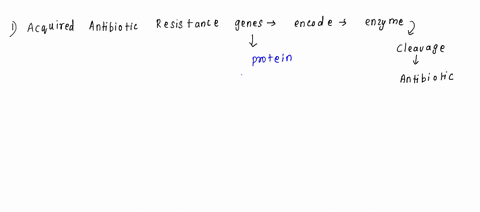 the-acquired-antibiotic-resistance-genes-encode-what-types-of-proteins-that-can-inhibit-the-function-of-the-antibiotic-list-two-09247