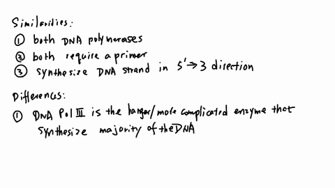identify-the-similarities-and-differences-of-dna-polymerase-i-and-dna-polymerase-iii-enzymes-of-e-coli-why-does-the-bacterium-have-two-or-more-polymerases-for-dna-replication