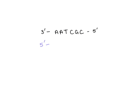 what-is-the-complementary-sequence-of-the-dna-strand-modeled-below-3-aatcgc-5-94424