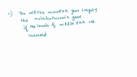 the-mir-23a-microrna-gene-targets-the-metallothionein-gene-it-the-levels-of-mir-23a-rna-are-increased-the-levels-of-metallothioneln-proteln-produced-will-selact-because-select-question-15-pt-05436