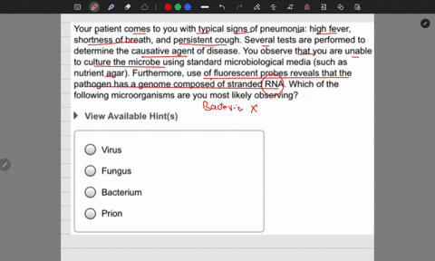 your-patient-comes-to-you-with-typical-signs-of-pneumonia-high-fever-shortness-of-breath-and-persistent-cough-several-tests-are-performed-to-determine-the-causative-agent-of-disease-you-obse-78403