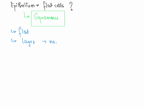 what-type-of-epithelium-is-composed-of-flat-cells-lo-747576-simple-stratified-squamous-cuboidal-90232
