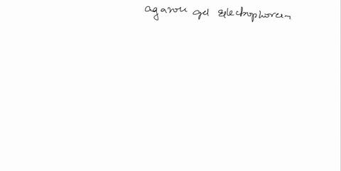 describe-the-result-of-agarose-gel-electrophoresis-experimentincluding-the-appearance-of-the-gel-and-the-genotypes-of-the-motherfather-and-child-62088