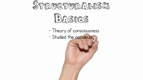 which-of-the-following-terms-do-not-belong-together-structuralism-unconscious-behavior-behaviorism-observable-behavior-psychoanalytic-unconscious-conflict-humanism-free-will