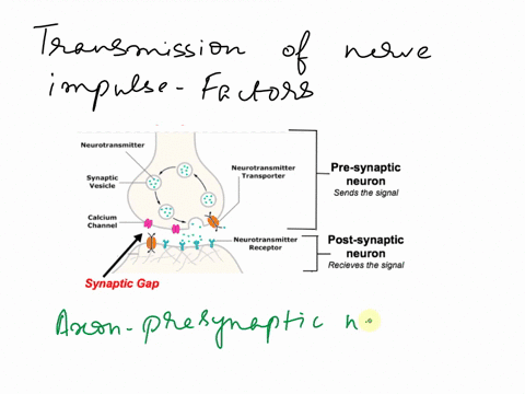 discuss-the-factors-involved-in-the-transmission-of-a-nerve-impulse-78081