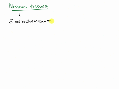 which-type-of-tissue-conducts-electrochemical-impulses-muscle-tissue-epithelial-tissue-nervous-tissue-connective-tissue-dense-tissue-12866
