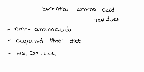 how-do-we-determine-the-essential-amino-acid-residues-70782