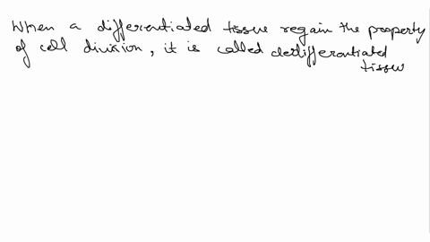 which-of-the-following-are-associated-with-secondary-growth-only-endodermis-vascular-cambium-procambium-apical-meristem-lenticel-cork-cambium-protoderm-phelloderm-stomate-wood-33205