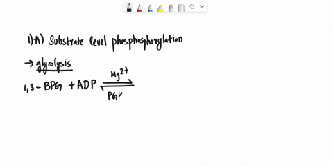1-a-below-which-of-the-following-cellular-respiration-produces-atp-by-substrate-level-phosphorylation-a-glycolysis-b-krebscitric-acid-cycle-c-oxidative-phosphorylation-d-bridge-transition-re-68809